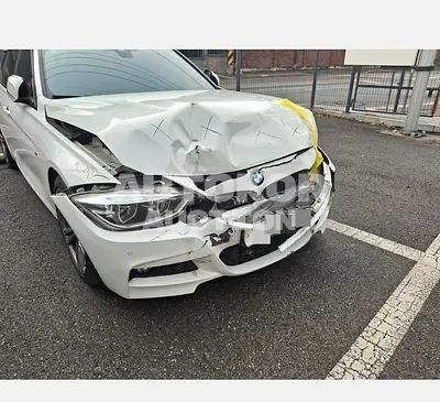 2018, BMW / 320, 95939 км., gas