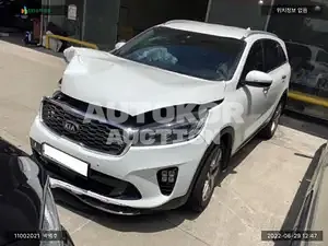 2019, Kia / Sorento, VIN: KNAPH81ABLA602625, 121153 км., diesel