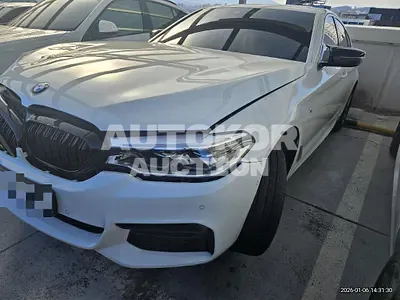 2019, BMW / 520, 70987 км., diesel
