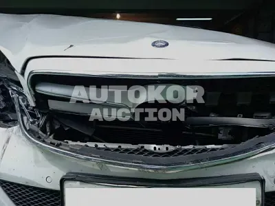 2016, Mercedes-Benz / E 220, VIN: WDDHF0AB9GB239407, 170701 км., diesel