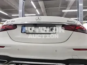 2022, Mercedes-Benz / E 220, hybrid
