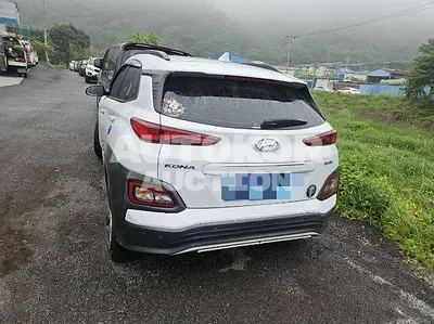 2019, Hyundai / Kona, VIN: KMHK381GFKU043379, 114292 км., electric, 180 куб.см.