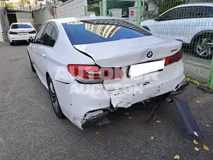 2020, BMW / 520, VIN: WBAJK9105LCE76426, gas