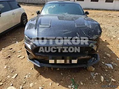 2019, Ford / Mustang, gas, 2300 куб.см.