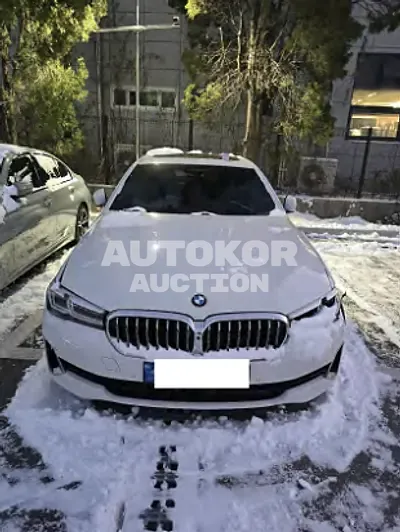 2023, BMW / 530i, 66000 км., gas
