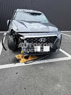 2020, Hyundai / Santa FE, VIN: KMHS281BBLU256799, 40000 км., diesel