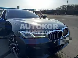2020, BMW / 530, VIN: WBA51AG06MCF56994, 18800 км., hybrid, 2000 куб.см.