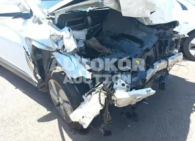 2019, Hyundai / Kona, VIN: KMHK281GFKU015959, electric