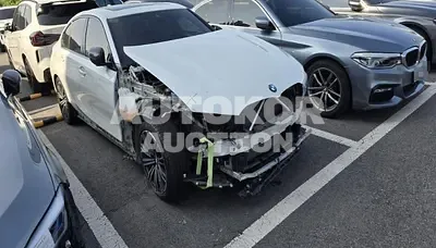 2019, BMW / 320, 129457 км., diesel, 1995 куб.см.
