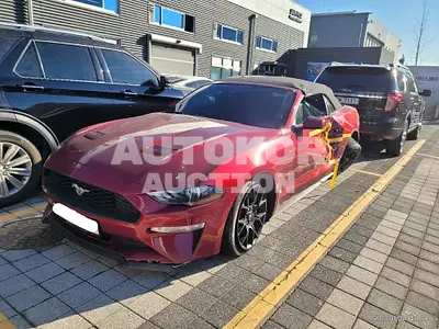 2019, Ford / Mustang, VIN: 1FATP8UH3K5196891, gas