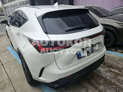 2025, Lexus / nx450h, 9000 км., hybrid