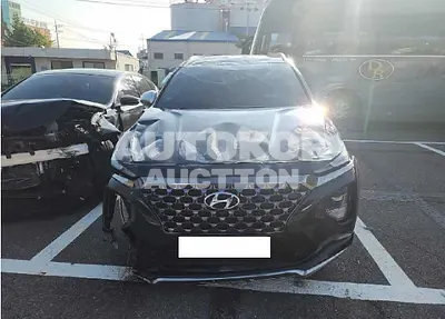 2019, Hyundai / Santa FE, VIN: KMHS581BBKU136785, diesel