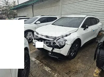 2024, Kia / Sportage, VIN: KNAPW81CBRK271502, 34221 км., diesel, 2000 куб.см.