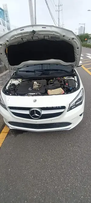 2018, Mercedes-Benz / CLA 250, VIN: WDDSJ4GB8JN583612, gas