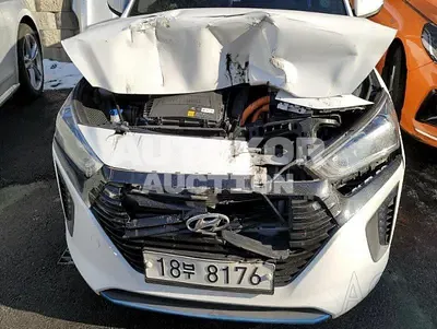 2016, Hyundai / Ioniq, VIN: KMHC751CGGU000453, hybrid