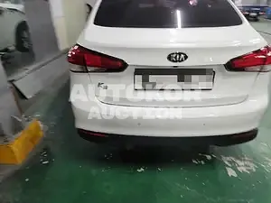 2017, BMW / Z1, 115831 км., gas, 1591 куб.см.