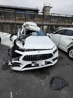 2019, Mercedes-Benz / CLS 450, gas, 2999 куб.см.