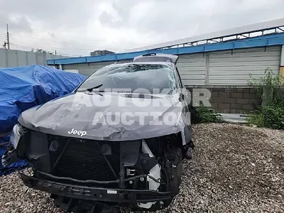 2019, Jeep / Grand Cherokee, VIN: 1C4RJFBG0KC796574, 50000 км., gas, 3604 куб.см.