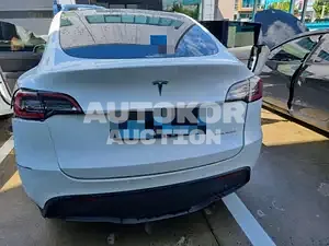 2021, Tesla / Model Y, VIN: 5YJYGDEE0MF171901, 65000 км., electric