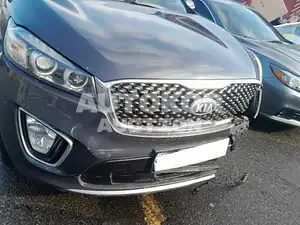 2015, Kia / Sorento, VIN: KNAPK81BDGA134053, 465279 км., diesel