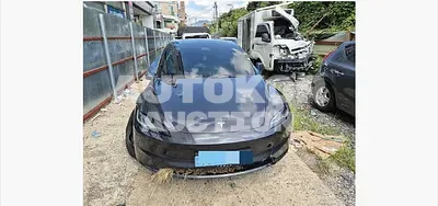 2025, Tesla / Model 3, electric, 180 куб.см.