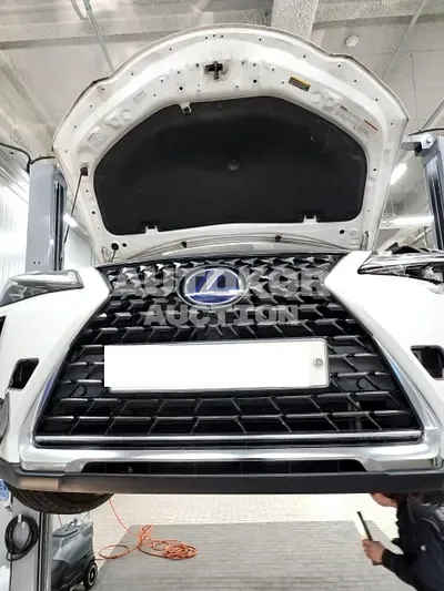 2019, Lexus / UX 250, VIN: JTHU9JBH8K2001192, hybrid