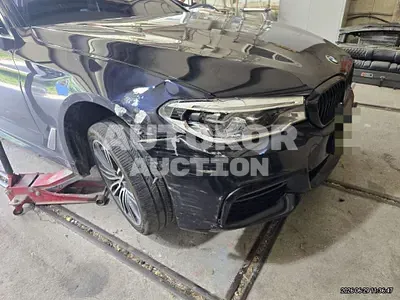2019, BMW / 530i, 66351 км., gas