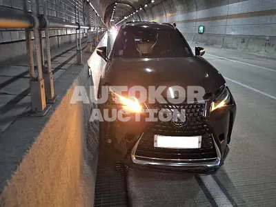 2019, Lexus / UX 250, VIN: JTHU9JBH5K2006821, 118369 км., hybrid