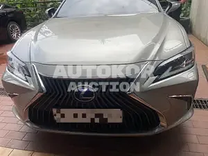 2021, Lexus / ES 300, VIN: JTHBA1C19M2004122, 32378 км., hybrid