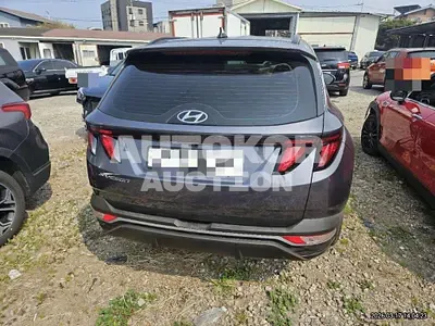2023, Hyundai / Tucson, gas, 1600 куб.см.