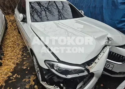 2016, BMW / 520, 125176 км., diesel