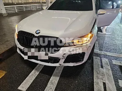 2020, BMW / 740, 296857 км., gas