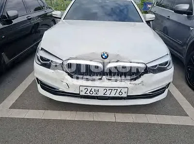 2019, BMW / 520, VIN: WBAJK710XKBP74315, 25943 км., gas