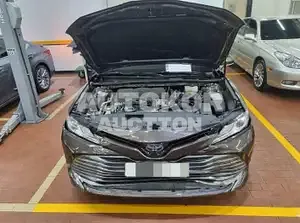 2018, Toyota / Camry, VIN: JTNB21HKXK3019523, 45806 км., hybrid
