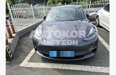 2022, Tesla / Model 3, 55571 км., electric, 236 куб.см.