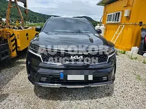 2022, Kia / Sorento, VIN: KNARM81BHPA194911, 8000 км., diesel