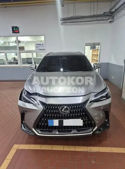 2025, Lexus / nx350h, 33027 км., hybrid, 2487 куб.см.