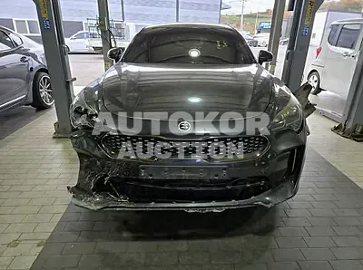 2018, Kia / Stinger, VIN: KNAE351ABJS035708, 24909 км., gas