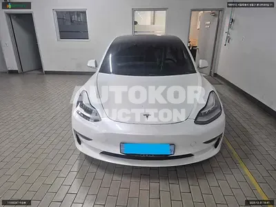 2020, Tesla / Model 3, VIN: 5YJ3E1EB6LF725509, 181169 км., electric, 1 куб.см.