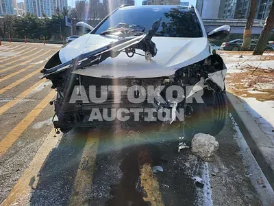 2016, Hyundai / Santa FE, VIN: KMHSW81UBGU631163, diesel