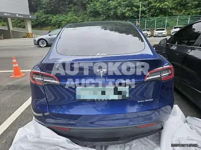 2021, Tesla / Model Y, electric