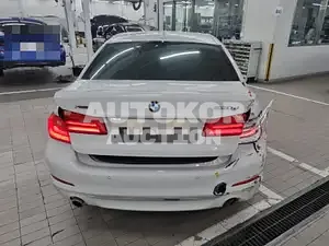 2020, BMW / 520, VIN: WBAJF5108LWW84678, 95030 км., diesel