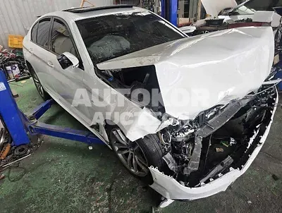 2017, BMW / 530, 48022 км., gas, 1998 куб.см.