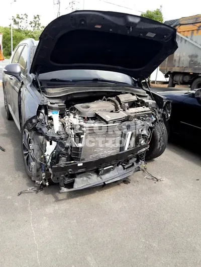 2019, Hyundai / Santa FE, VIN: KMHS381ABKU052255, gas