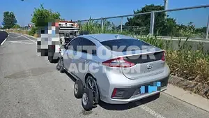2018, Hyundai / Ioniq, electric
