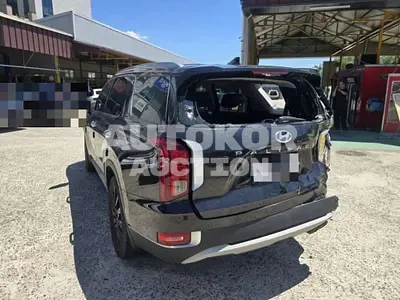 2020, Hyundai / Palisade, 118599 км., gas, 3800 куб.см.