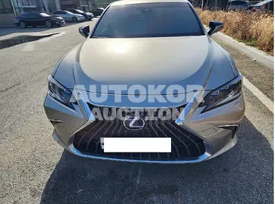 2022, Lexus / ES 300, VIN: JTHBA1C11N2009431, 22045 км., hybrid