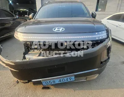 2025, Hyundai / ioniq 9, VIN: KMHMU811FSA010318, 34994 км., gas