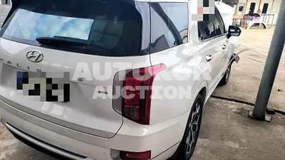 2020, Hyundai / Palisade, VIN: KMHR581ADMU223210, 30000 км., diesel, 2200 куб.см.