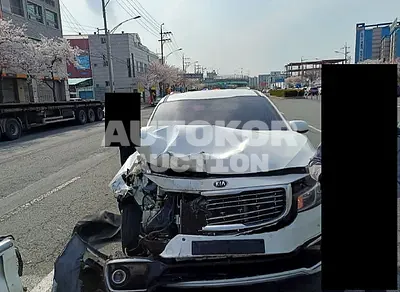 2016, Kia / Carnival, VIN: KNAMB81ABGS216949, diesel
